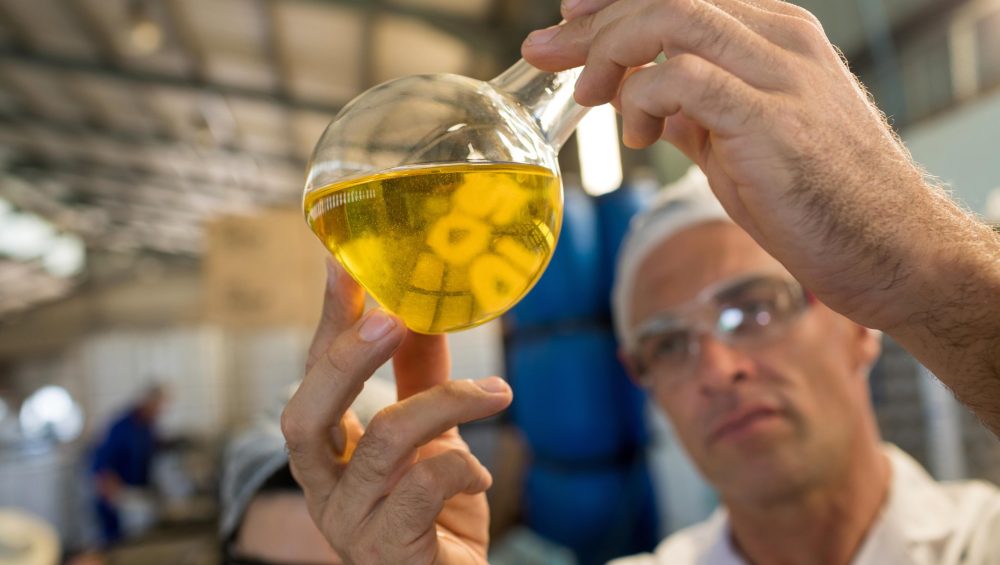 Guide to Understanding Quality in Olive Oil