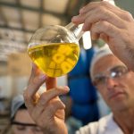 Guide to Understanding Quality in Olive Oil