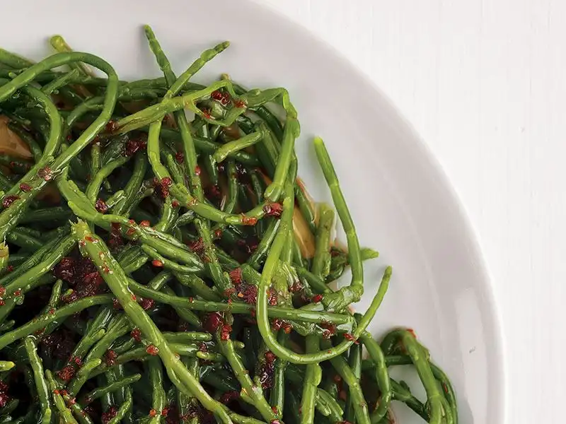 Deniz Börülcesi Salatası